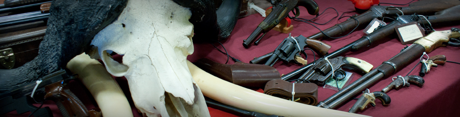 SAXET Gun Shows